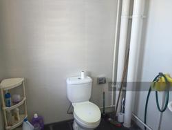 Vertex (D14), Factory #111581172